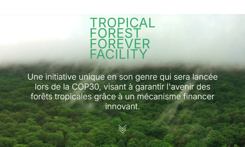 le-tropical-forest-forver-facility-vers-un-nouvel-elan-pour-la-finance-forestiere-mondiale