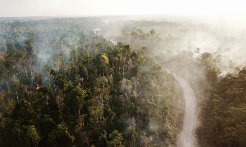 les-publications-du-cst-f-pour-la-cop-30-sur-le-climat