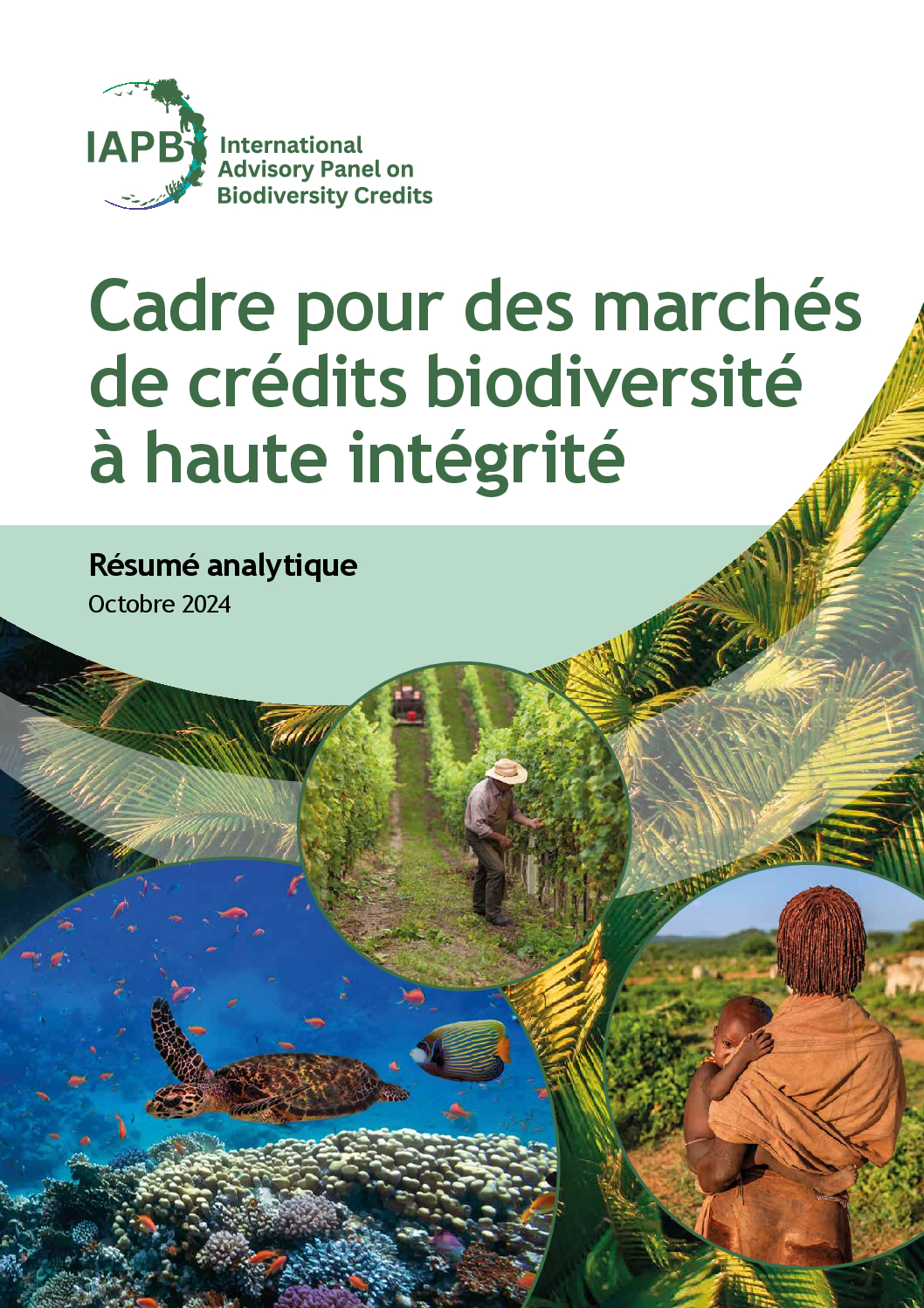 cop16-sur-la-biodiversite-deux-publications-sur-les-credits-biodiversite