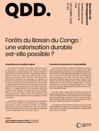 forets-du-bassin-du-congo-une-valorisation-durable-est-elle-possible